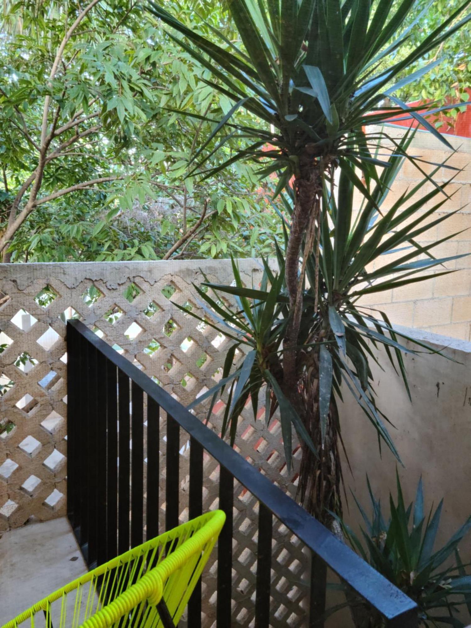 Casa Ramona Hotell Mérida Exteriör bild